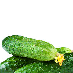 ..Fresh Cucumber isolated on white background.