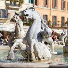 fountain horse in Navona square