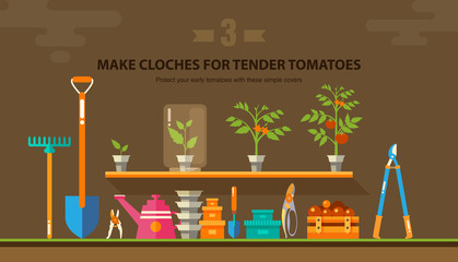 Naklejka premium TENDER TOMATOES 1