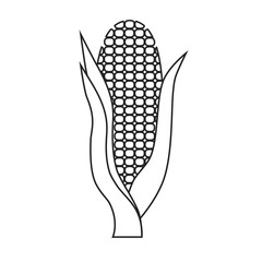 Line icon corn with leaves. Vector illustration.