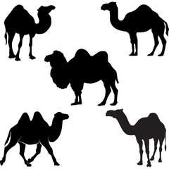camel silhouette vector clipart. EPS 10