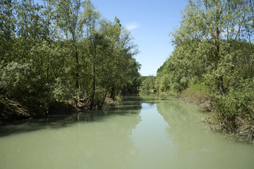 fiume enza