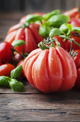 Red sweet tomato and green basil