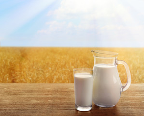 Milk in glassware on sunny nature background