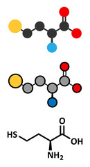 Homocysteine (Hcy) biomarker molecule. 