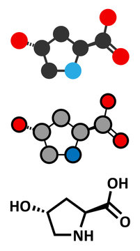 Hydroxyproline (Hyp) amino acid. Essential component of collagen.