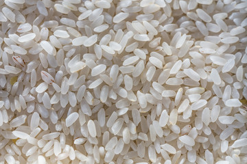 Close-up of raw rice