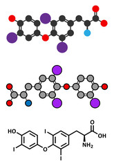 Triiodothyronine (T3, liothyronine) thyroid hormone molecule. 