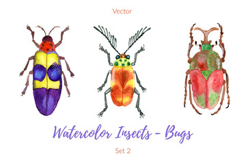 Set of hand painted watercolorbugs, vector.