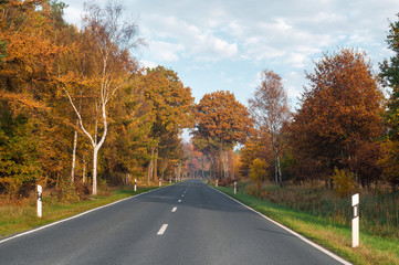 Straße im Herbst, Fahrt durch ein Waldgebiet, Wildwechselgefahr, Laubfärbung, Ausflugswetter,...