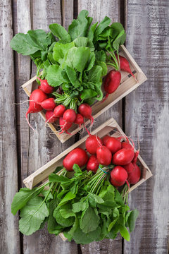 radish group in two boxes on old rustic wooden table