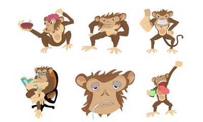 Six monkeys in diferents positions and on only the face.

