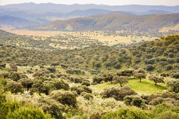 Fototapeta na wymiar Vista de la Sierra de la Jayona, Extremadura, Badajoz, España