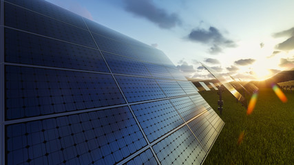 Solar panels field at sunset