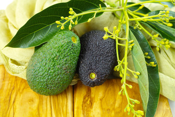 Fresh green avocados with leaves on olive wood
