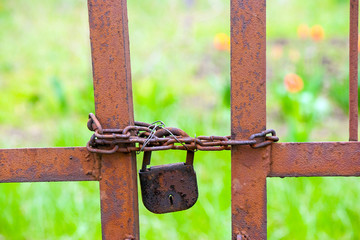 The old big Antique  padlock