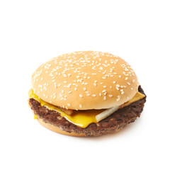Fresh hamburger isolated
