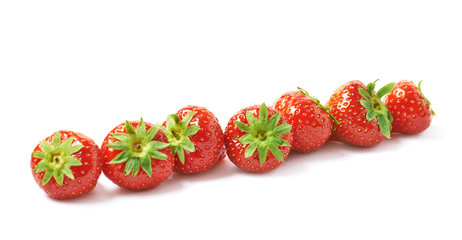 Line of red strawberries isolated