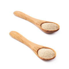 Wooden spoon filled with dry yeast