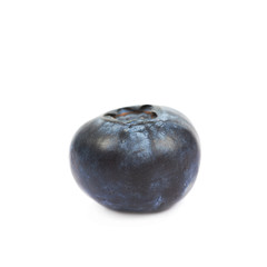Single ripe bilberry isolated