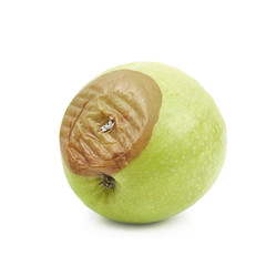 Rotten green apple isolated
