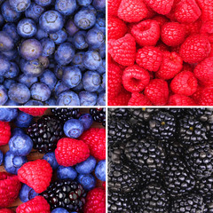 Berries Background Collection. Raspberry, Blueberry and Blackber