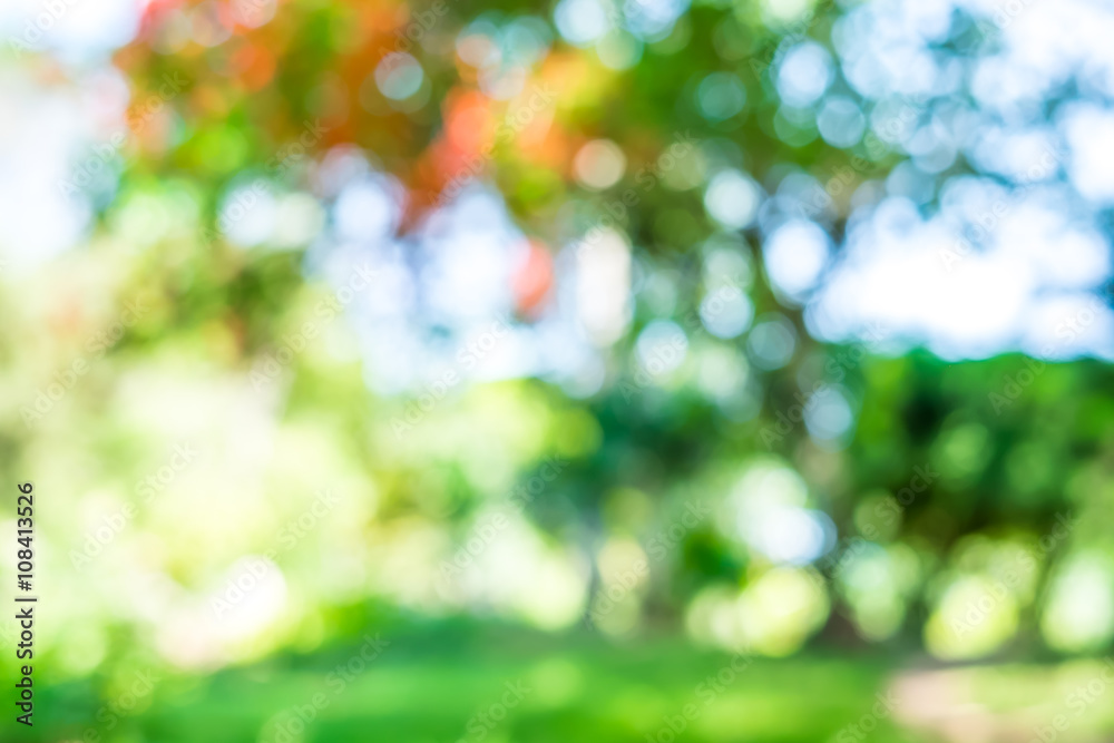 Poster blur background : outdoor park with tree and bokeh light.