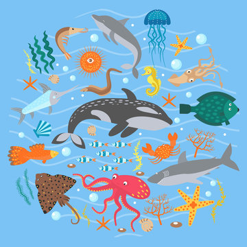 Concept Set of Cute Sea animals fish. Vector illustration.