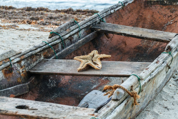 Old boat with starfish