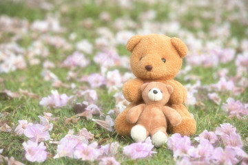 Brown Bear Texture background.