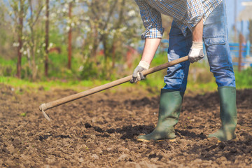 Man hoeing vegetable garden soil