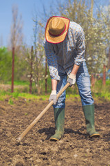 Man hoeing vegetable garden soil