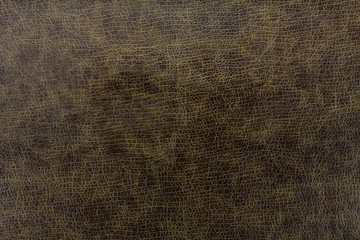 dark brown leather