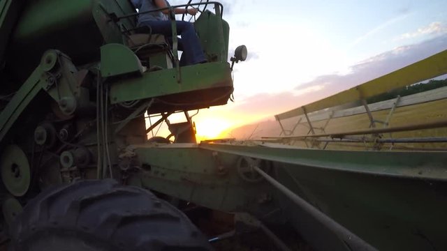 View from a camera attached to a classic 1959 combine harvester as it cuts wheat at sunset.
