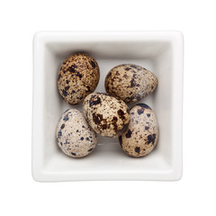 Obraz premium Quail egg