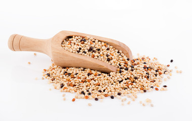 seed mixture background. Pet food for birds