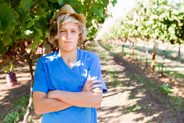 Boy in vineyard