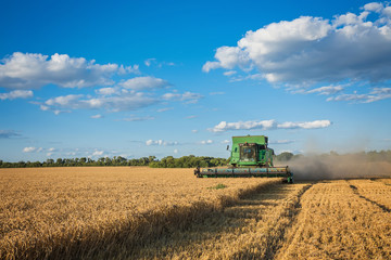 Naklejka premium Harvesting combine in the field cropping cereal field