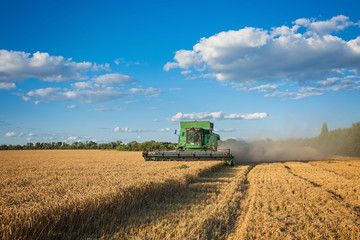Obraz premium Harvesting combine in the field cropping cereal field