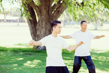 Obraz premium People practicing thai chi in park