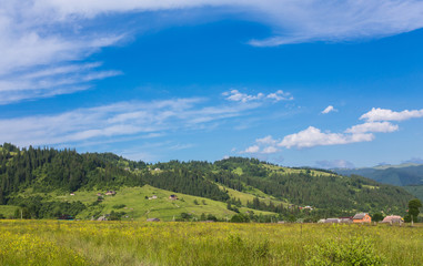 Fototapeta premium Idyllic landscape in the Alps with fresh green meadows and blooming flowers and snow-capped mountain tops in the background
