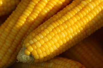Closeup boiled corn vegetable food background.
