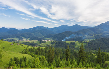 Idyllic landscape in the Alps with fresh green meadows and blooming flowers and snow-capped mountain tops in the background