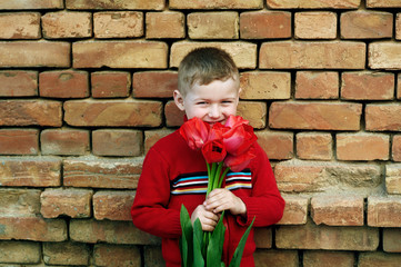 Little boy with bunch of red tulips looking at camera