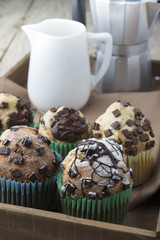 chocolate muffins