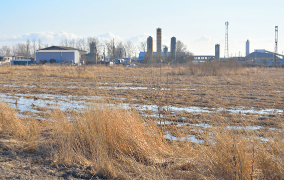 Field of early spring.