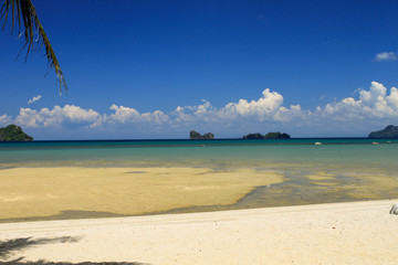 Beach view