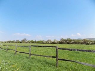 Fototapeta na wymiar Wooden fence on meadow, forest and sky