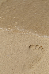 Fototapeta na wymiar A foot print on sandy beach, selective focus.