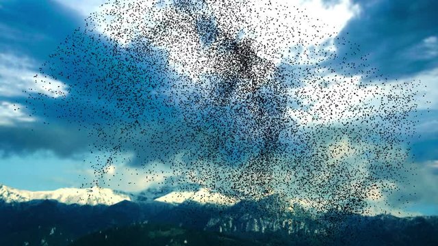Flock of birds swarming against blue sky over mountains 